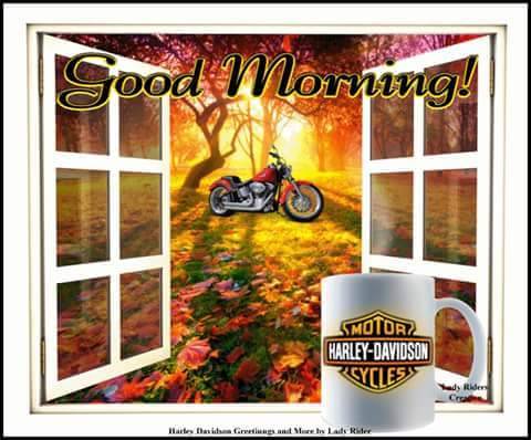 Camden Whiskey Bar | restaurant | 42 E Central Ave, Camden, OH 45311, USA | 9374525581 OR +1 937-452-5581