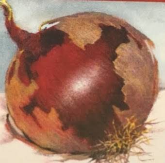 The Chef’s Kitchen | restaurant | S Sykes St, Meaford, ON N4L 1C6, Canada | 2266622060 OR +1 226-662-2060