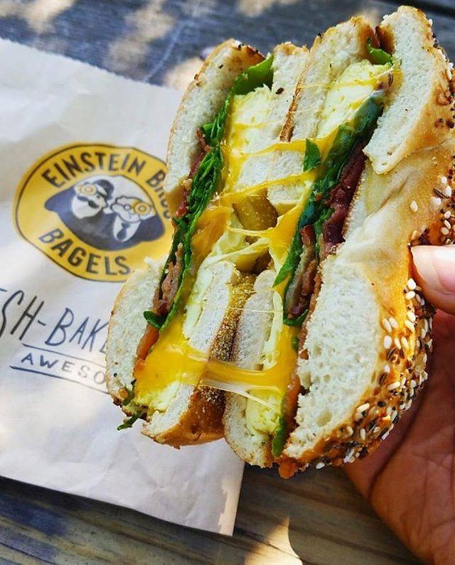 Einstein Bros. Bagels | cafe | 5003 E Fowler Ave, Tampa, FL 33617, USA | 8139880088 OR +1 813-988-0088