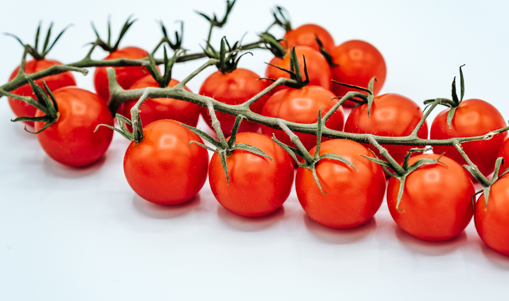 Chrysalis Modern Italian | restaurant | 9040 Carothers Pkwy Suite A201, Franklin, TN 37067, USA | 6154721712 OR +1 615-472-1712