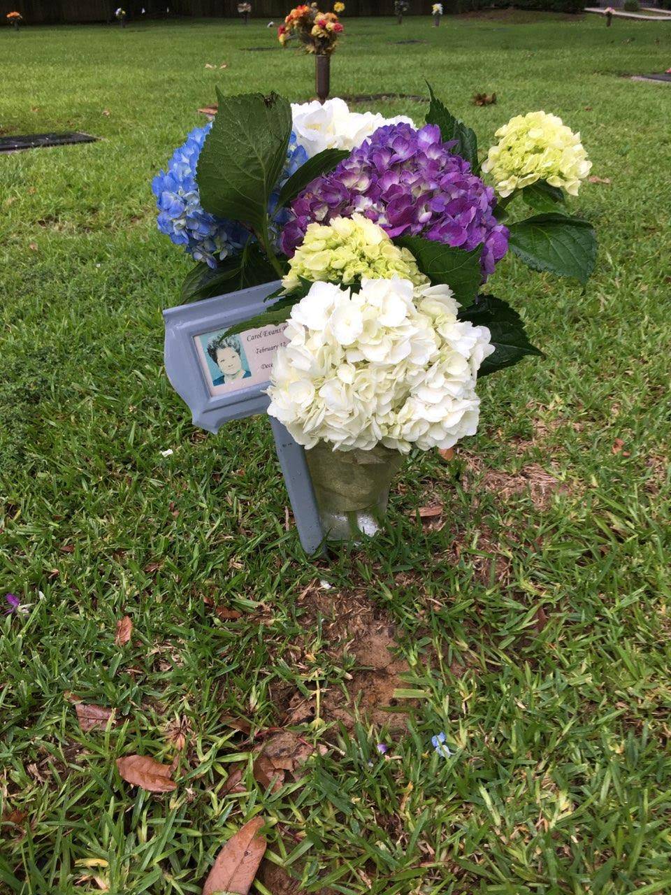 LA FRONTERA | restaurant | 2152 Florida Ave SW, Denham Springs, LA 70726, USA | 2256659333 OR +1 225-665-9333