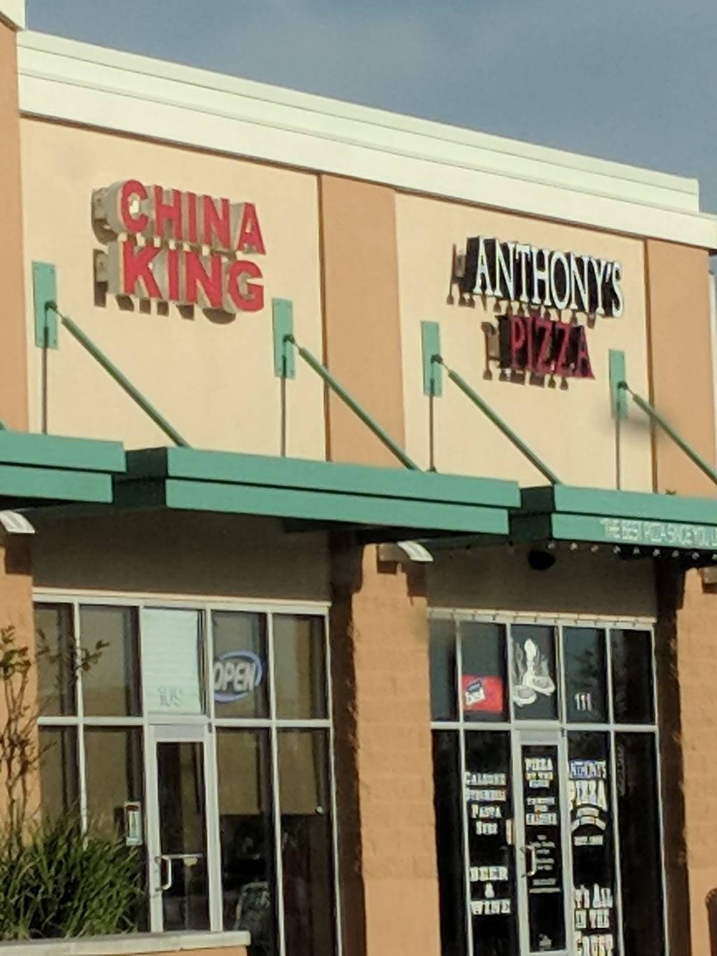 Anthonys Pizza | restaurant | 2433 S Woodland Blvd #111, DeLand, FL 32720, USA | 3868736767 OR +1 386-873-6767