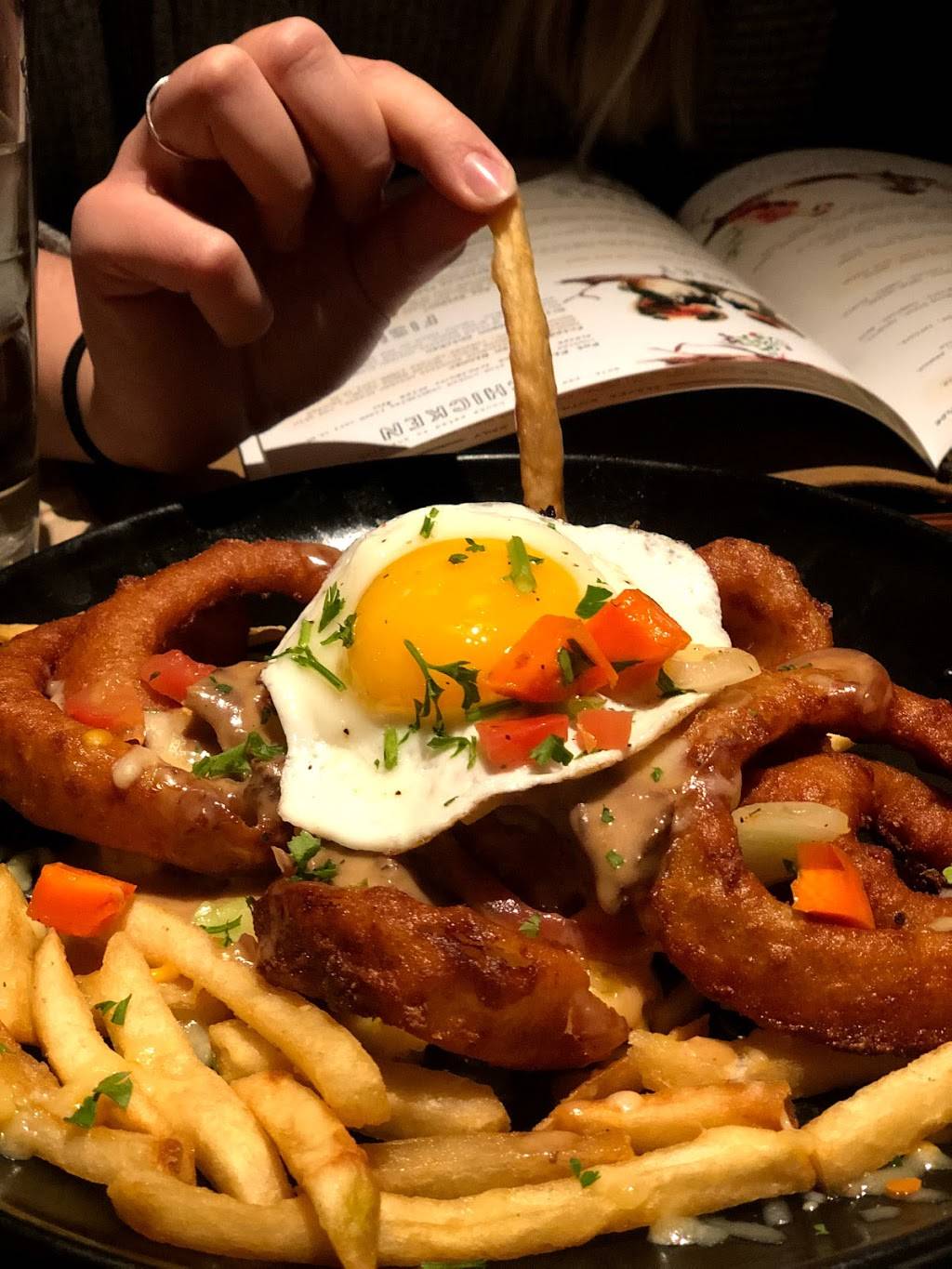 Lazy Dog Restaurant & Bar | restaurant | 14618 Delaware St, Westminster, CO 80023, USA | 7204595613 OR +1 720-459-5613