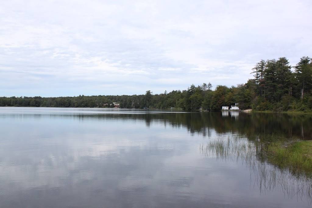 Bum & Kels Lakeside Tavern | restaurant | 1132 NY-52, Loch Sheldrake, NY 12759, USA | 8454347427 OR +1 845-434-7427