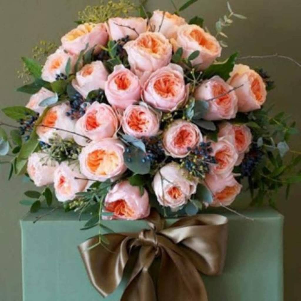 Pizza Palace Cafe | cafe | 63-60 108th St, Forest Hills, NY 11375, USA | 3477458530 OR +1 347-745-8530