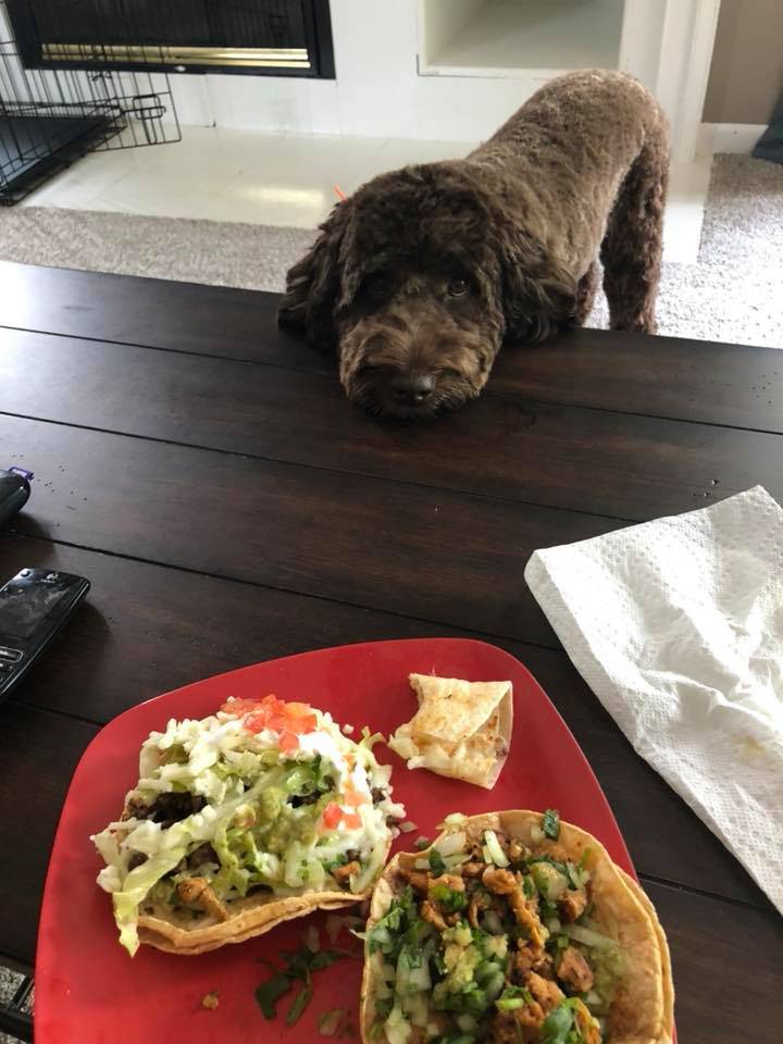 Fantastico Grill | restaurant | 9S738 IL-47, Sugar Grove, IL 60554, USA | 6305423711 OR +1 630-542-3711