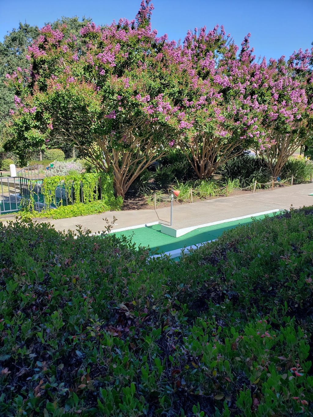 Sonoma Family Fun Center | meal takeaway | 19171 Sonoma Hwy, Sonoma, CA 95476, USA | 7073437233 OR +1 707-343-7233