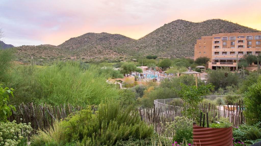 Primo with Patio Dining | restaurant | 3800 W Starr Pass Blvd, Tucson, AZ 85745, USA | 5207916071 OR +1 520-791-6071