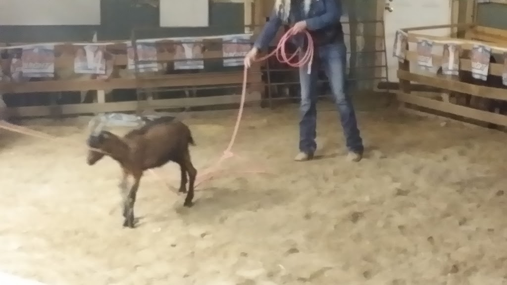 Double Diamond Steakhouse & Saloon | restaurant | 127 N Plymouth Ave, New Plymouth, ID 83655, USA | 2082789282 OR +1 208-278-9282