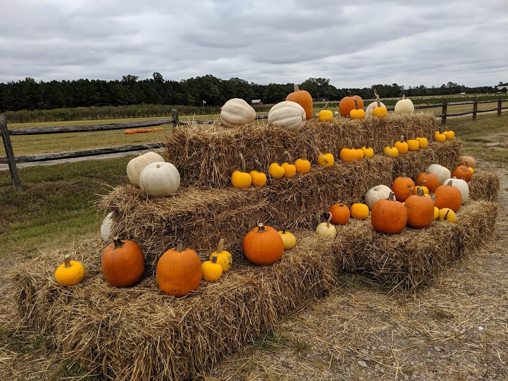 Vollmer Farm - Farm Market & Cafe | cafe | 677 North Carolina 98 Hwy E, Bunn, NC 27508, USA | 9194963076 OR +1 919-496-3076