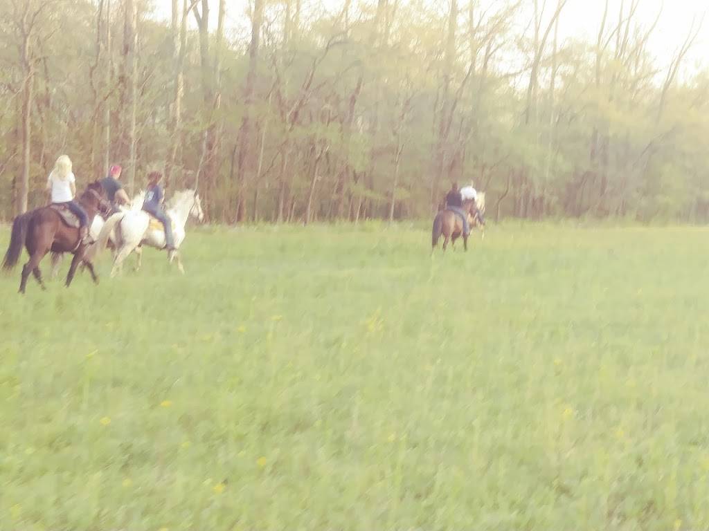 Dairy Queen | restaurant | 914 S Adams St, Versailles, IN 47042, USA | 8126894005 OR +1 812-689-4005