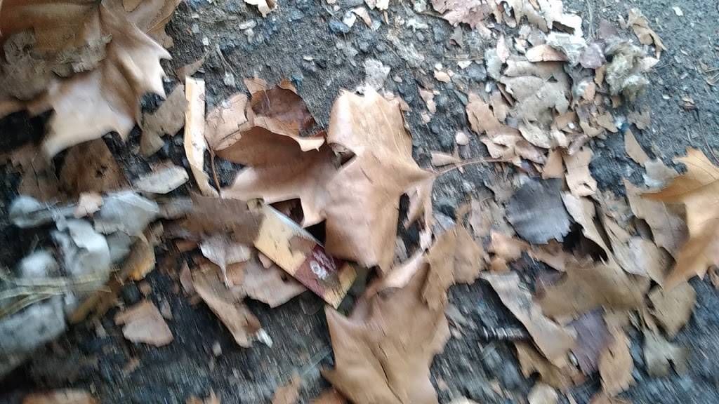 Subway Restaurants | restaurant | 137 Lake Blvd, Redding, CA 96003, USA | 5302443747 OR +1 530-244-3747