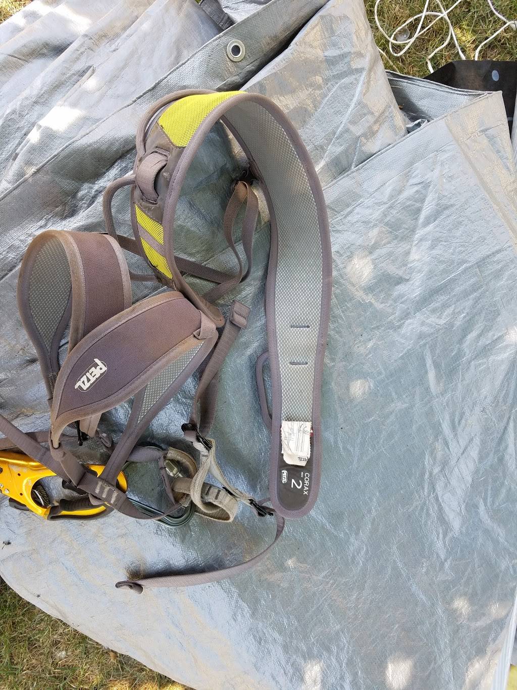 Dominos Pizza | meal delivery | 1316 N Main Ave, Scranton, PA 18508, USA | 5703479200 OR +1 570-347-9200