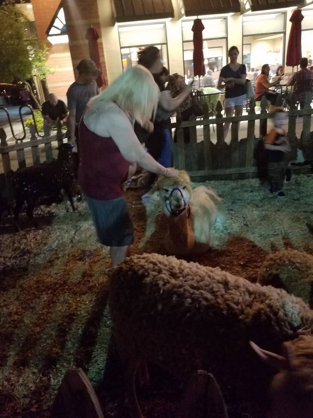 Chick-fil-A | restaurant | 2550 W Chandler Blvd, Chandler, AZ 85224, USA | 4808551555 OR +1 480-855-1555