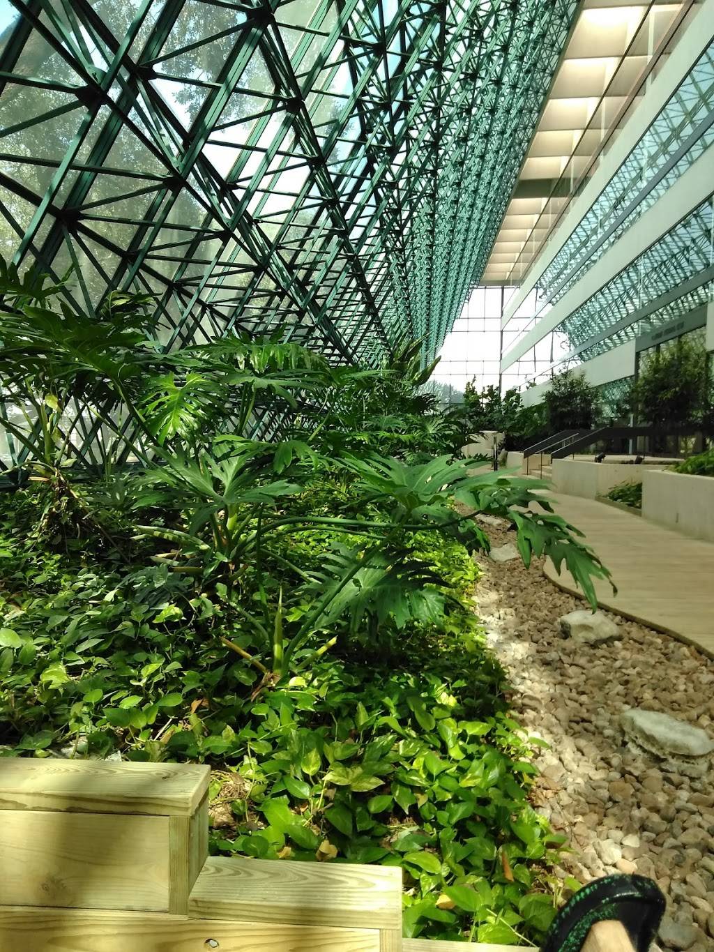 Cypress Cafe | restaurant | 84 NE Interstate 410 Loop, San Antonio, TX 78216, USA | 2103486455 OR +1 210-348-6455