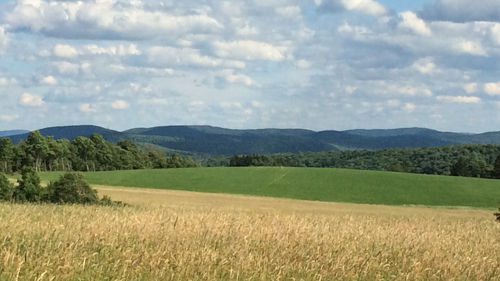 Meredith Inn | restaurant | 4206 Turnpike Rd, Delhi, NY 13753, USA | 6074645029 OR +1 607-464-5029