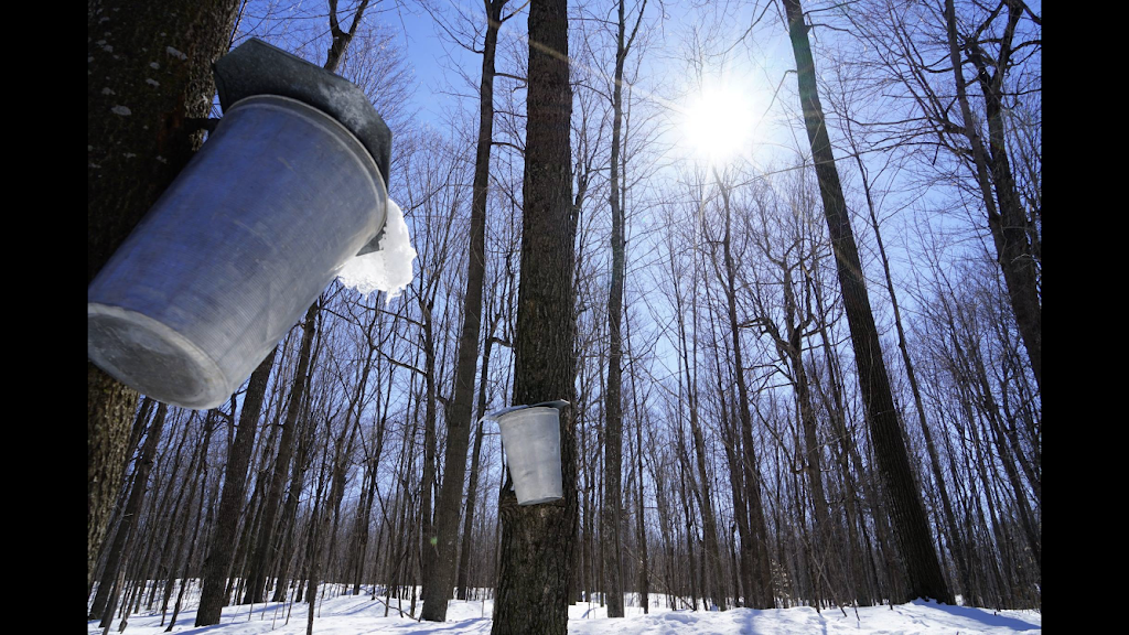 Cabane à Sucre L’ancestrale | restaurant | 589 Petit rang Saint-François, Saint-Pie, QC J0H 1W0, Canada | 4507776747 OR +1 450-777-6747