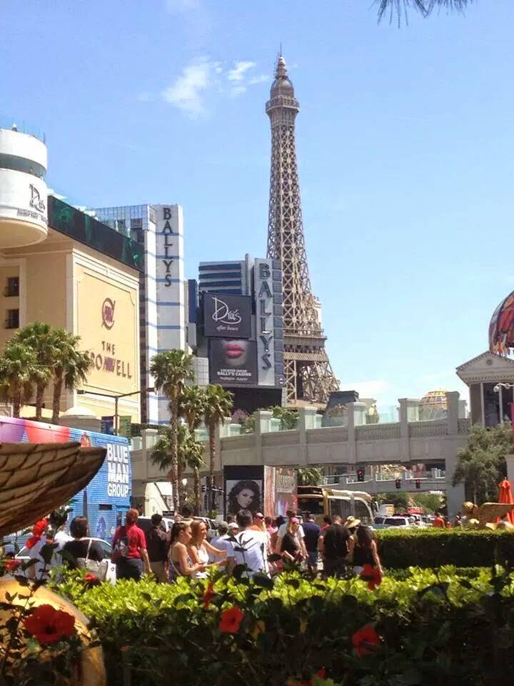 TGI Fridays | meal takeaway | 1795 Mall of Georgia Blvd, Buford, GA 30519, USA | 6784821800 OR +1 678-482-1800