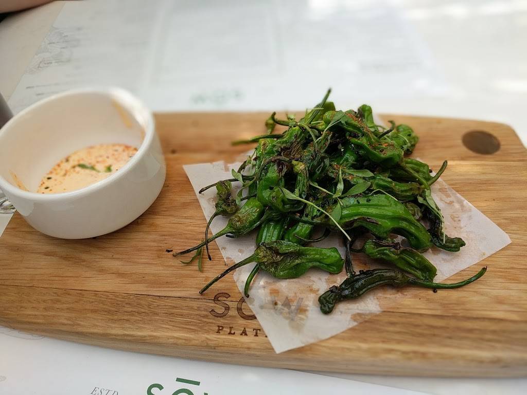 SŌW Plated | restaurant | 1625 W Lane Ave, Upper Arlington, OH 43221, USA | 6148260028 OR +1 614-826-0028