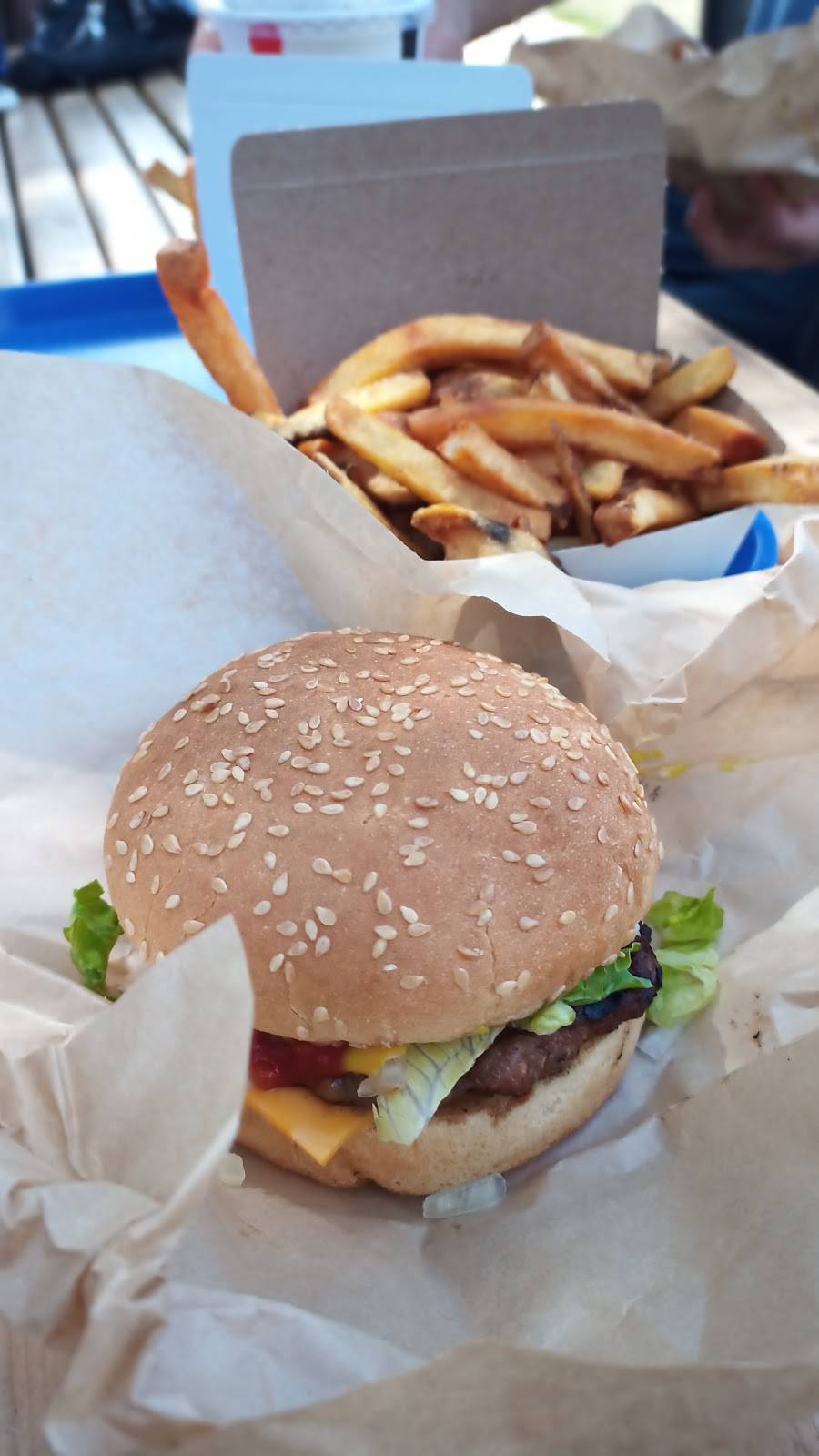 The Beach Burger | restaurant | 203 Main St, Sauble Beach, ON N0H 2G0, Canada | 5194220300 OR +1 519-422-0300