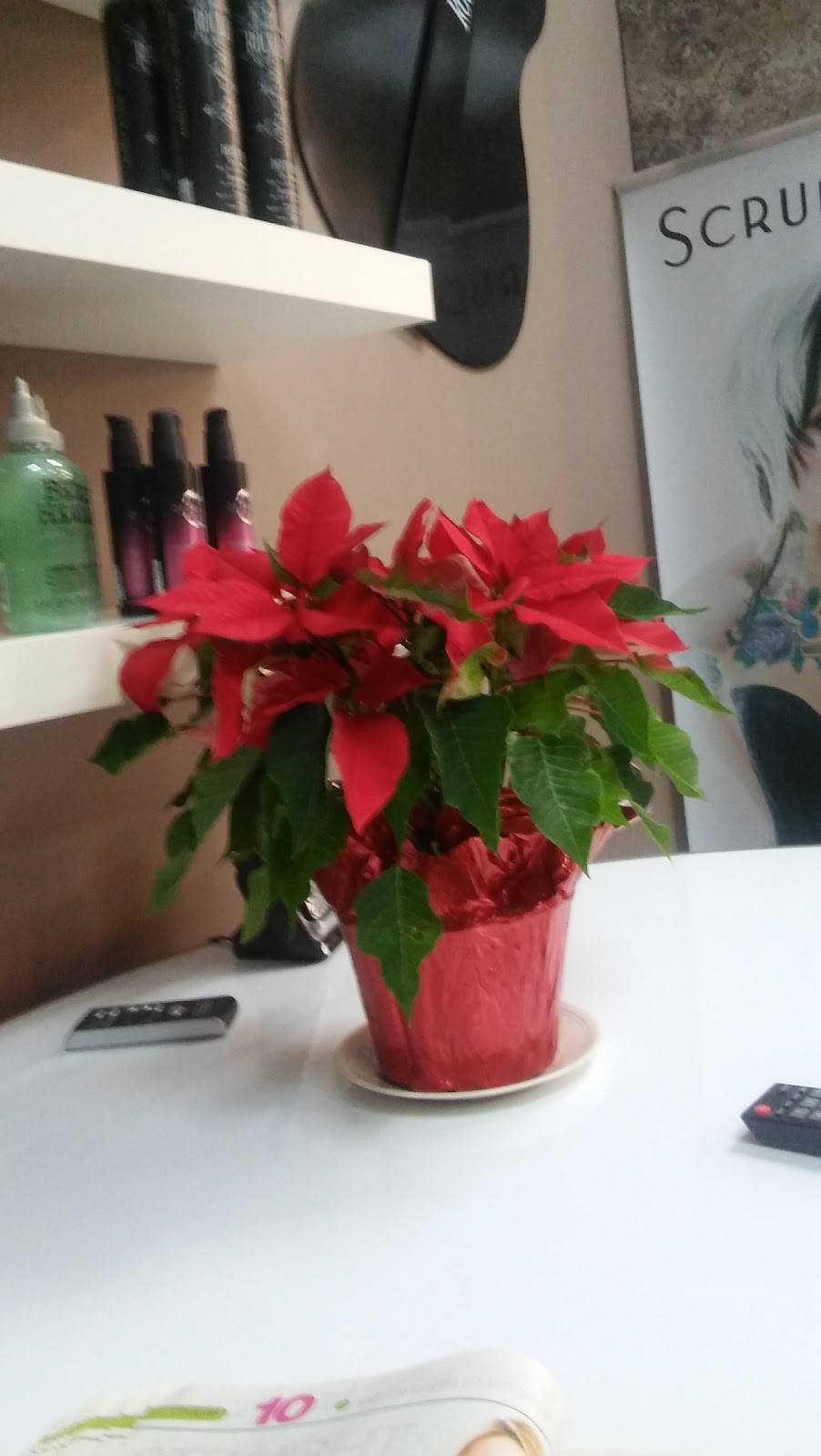 Subway | restaurant | 847 S Latson Rd, Howell, MI 48843, USA | 5175400927 OR +1 517-540-0927