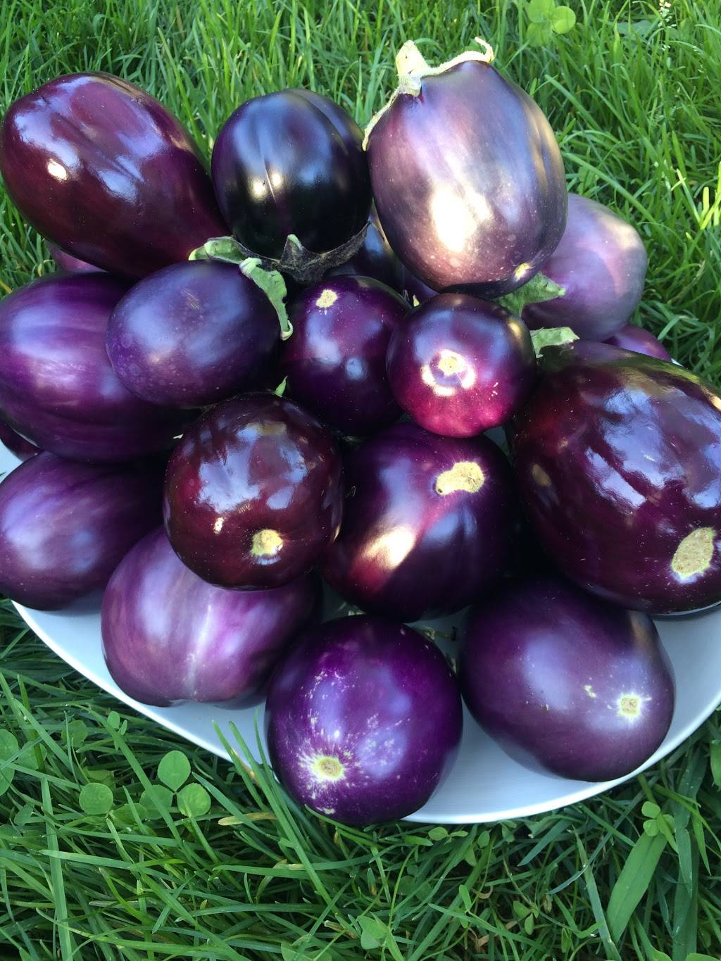 Cook St. Helena | restaurant | 1310 Main St, St Helena, CA 94574, USA | 7079637088 OR +1 707-963-7088