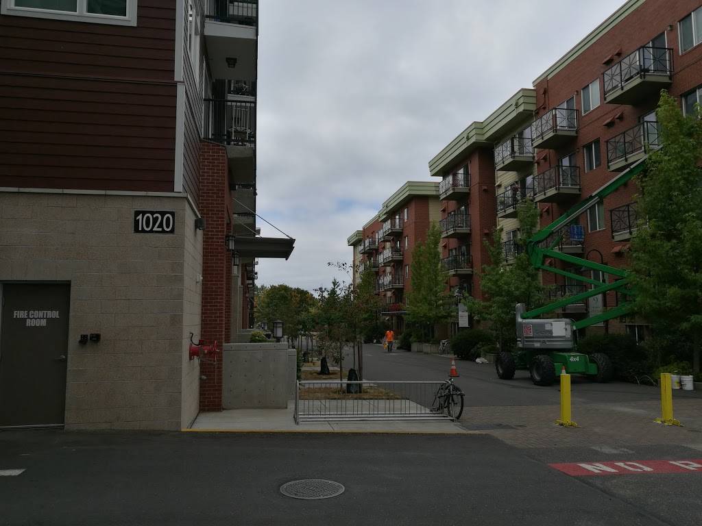 Naan & Brew | restaurant | 200 E Maple St #101, Bellingham, WA 98225, USA | 3603895493 OR +1 360-389-5493