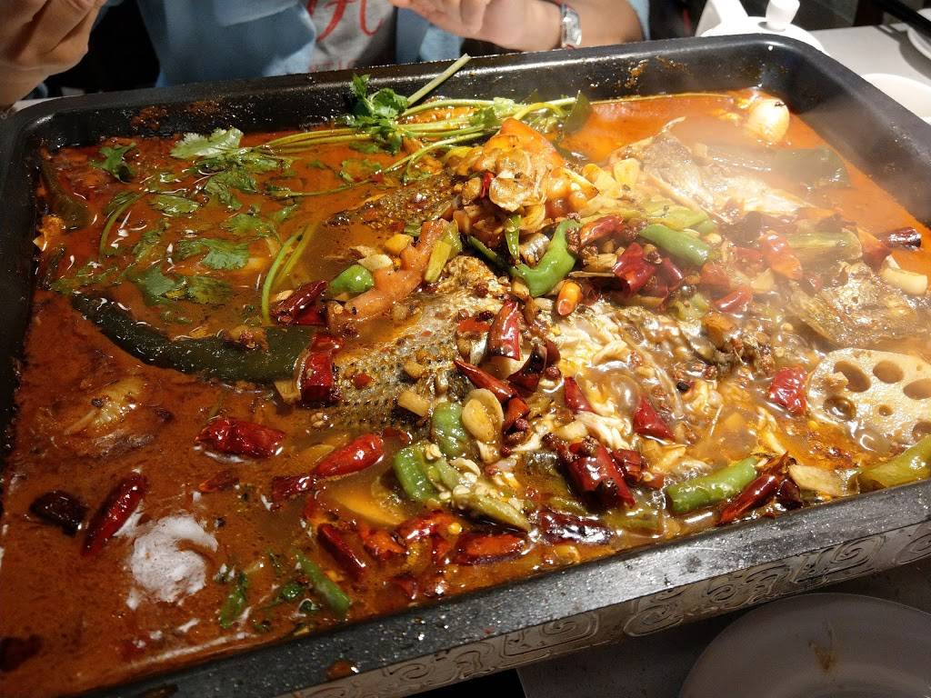 XinYang | restaurant | 136-19 41st Ave, Flushing, NY 11355, USA | 7189618877 OR +1 718-961-8877