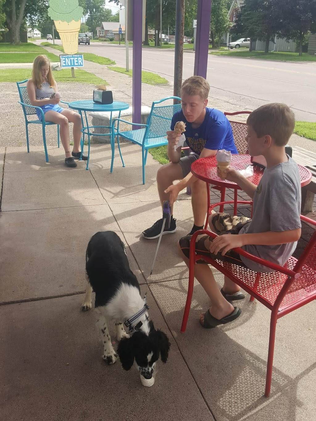 Tastee Treet | restaurant | 433 N Water St, Black River Falls, WI 54615, USA | 7152843004 OR +1 715-284-3004