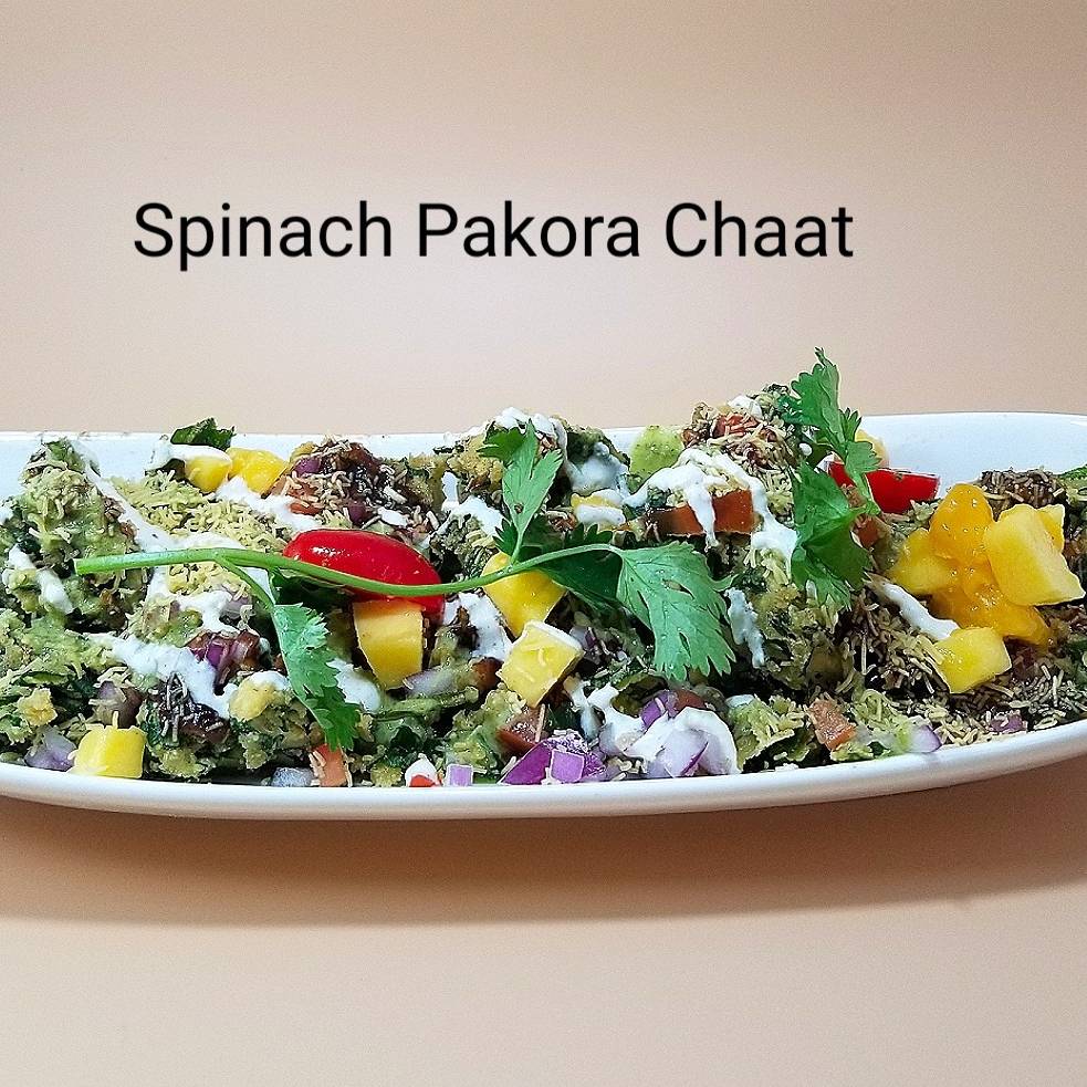 Spice Kraft Indian Bistro | restaurant | 2607 Mt Vernon Ave, Alexandria, VA 22301, USA | 7038366363 OR +1 703-836-6363