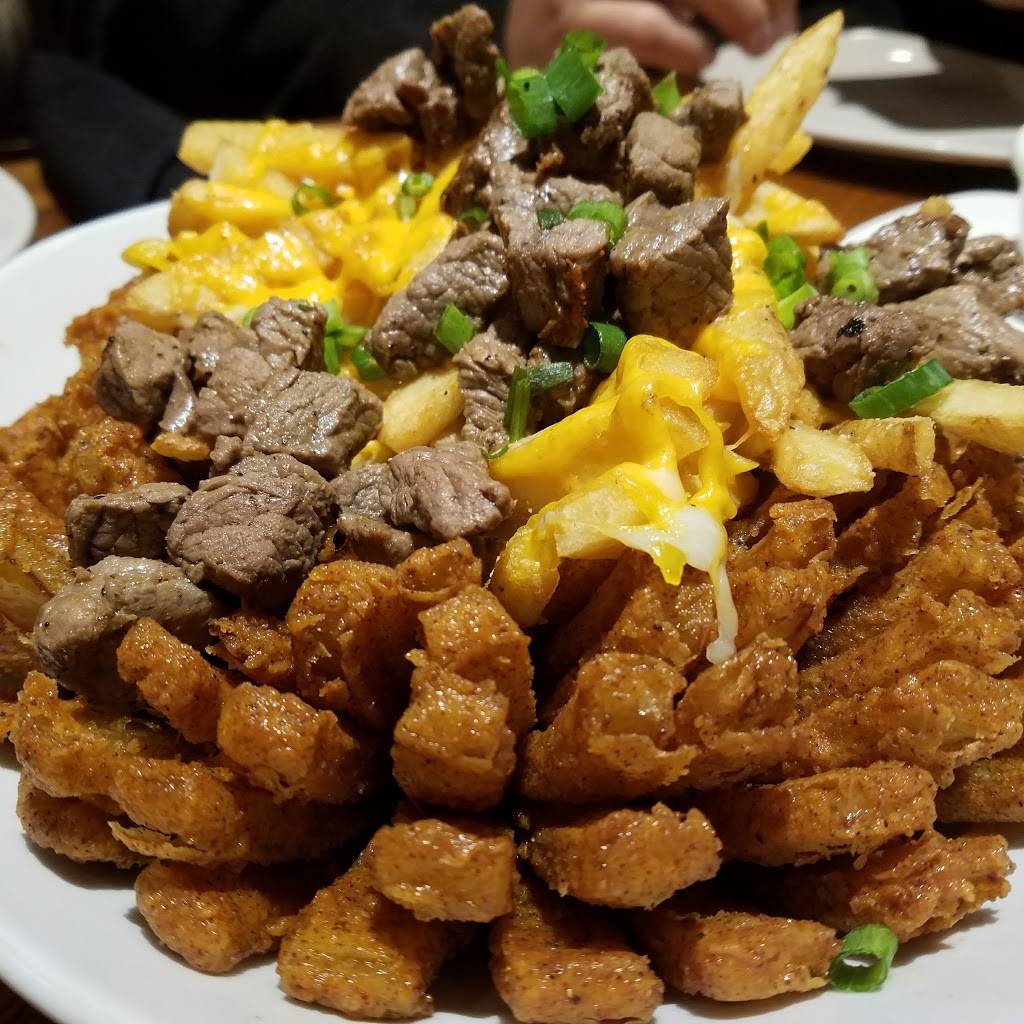 Outback Steakhouse | restaurant | 9773 San Jose Blvd, Jacksonville, FL 32257, USA | 9042684329 OR +1 904-268-4329