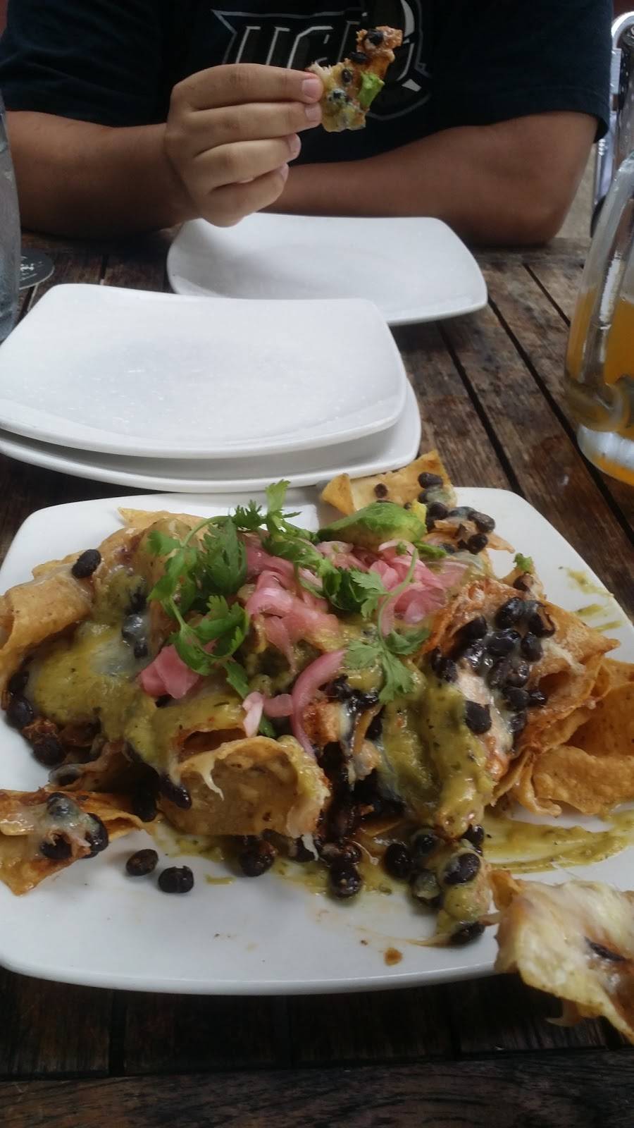 Jolly Pumpkin Café & Brewery | restaurant | 311 S Main St, Ann Arbor, MI 48104, USA | 7349132730 OR +1 734-913-2730