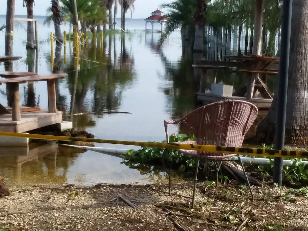 Black Hammock Orlando Airboat Rides | restaurant | 2356 Black Hammock Fish Camp Rd, Oviedo, FL 32765, USA | 4077063704 OR +1 407-706-3704
