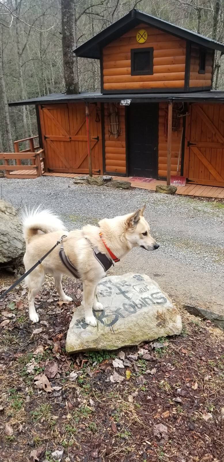 Subway | restaurant | 2720 B Newport Hwy, Sevierville, TN 37876, USA | 8654530444 OR +1 865-453-0444