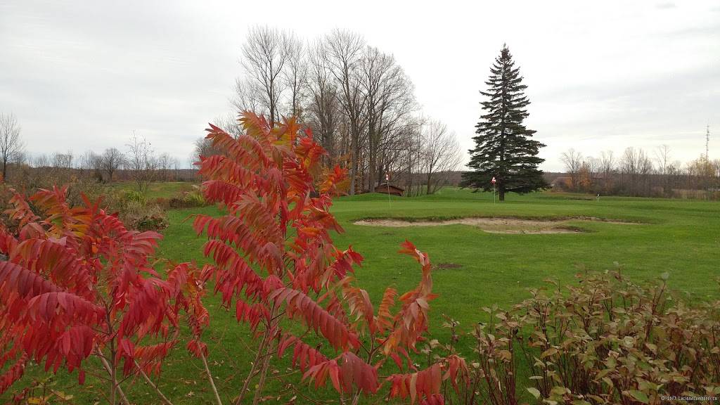 Stone Tree - Golf, Fitness and Banquets | restaurant | 318085 Hwy 6&10, Owen Sound, ON N4K 5N6, Canada | 5193767899 OR +1 519-376-7899