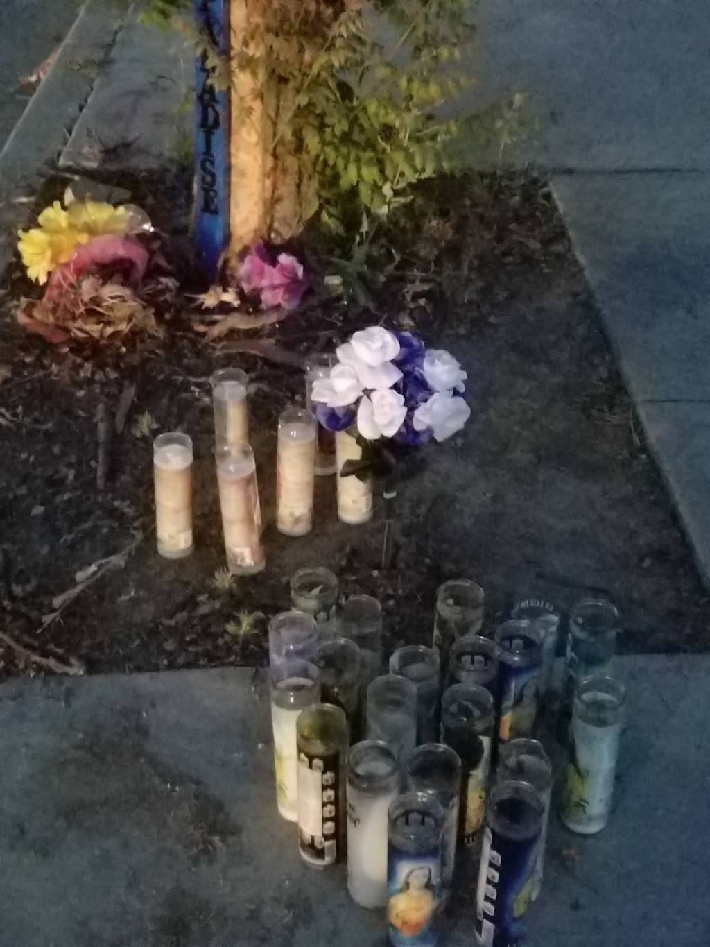 Flame Broiler | restaurant | 440 River Rd, Corona, CA 92880, USA | 9517348762 OR +1 951-734-8762