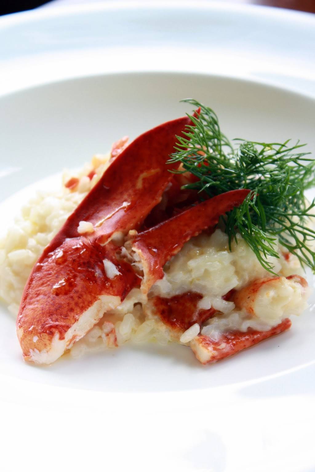 Taste Bistro & Bar | restaurant | 77 Mirror Lake Dr, Lake Placid, NY 12946, USA | 5183023000 OR +1 518-302-3000