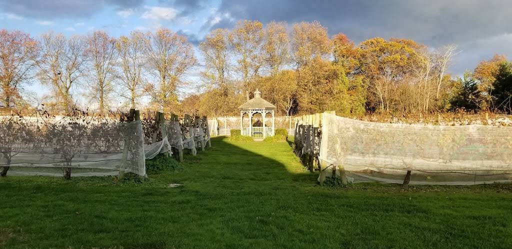 Diliberto Winery | restaurant | 250 Manor Ln, Riverhead, NY 11901, USA | 6317223416 OR +1 631-722-3416