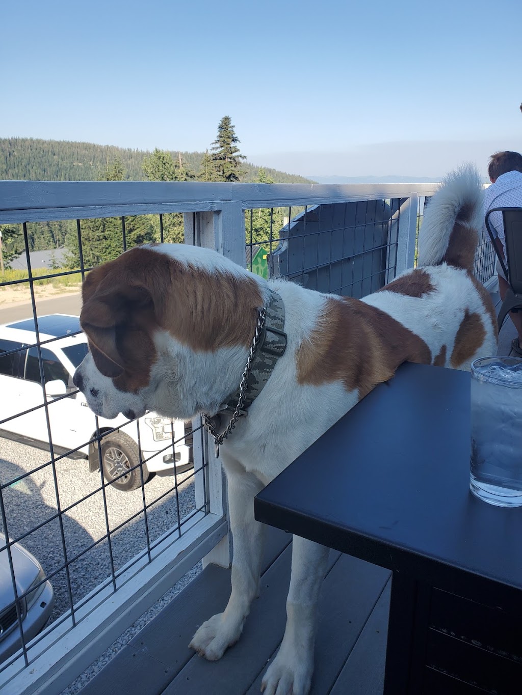 The St. Bernard | restaurant | 479 NW Psge, Sandpoint, ID 83864, USA | 2089205521 OR +1 208-920-5521