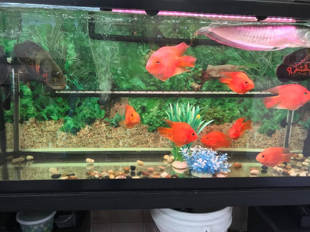 Tasty House | restaurant | 253 Avenue U, Brooklyn, NY 11223, USA | 7183720006 OR +1 718-372-0006