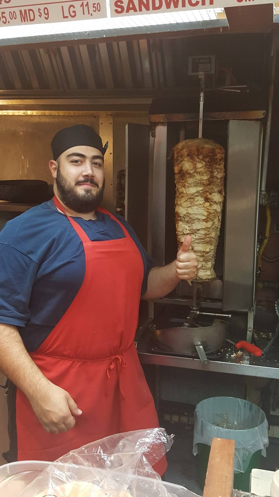 Alissar Lebanese Cuisine | restaurant | 1765 St Laurent Blvd, Ottawa, ON K1G 3V4, Canada | 6132490888 OR +1 613-249-0888