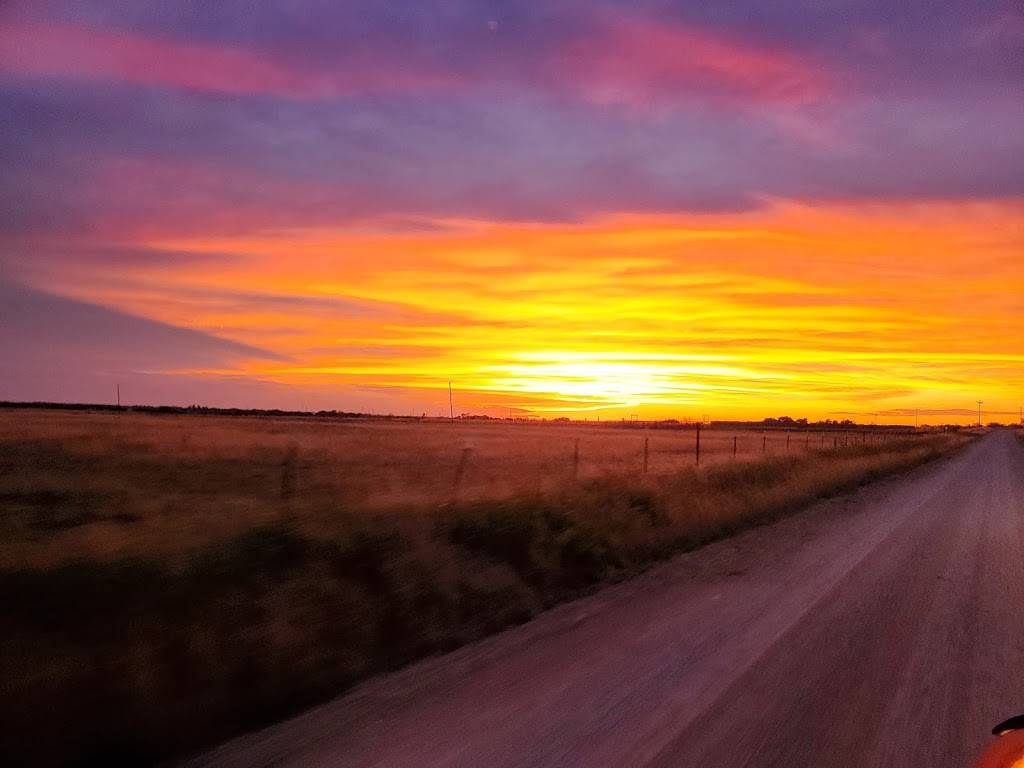 Lauras Cocina | restaurant | 1701 Ranch Rd 12, San Marcos, TX 78666, USA | 5122629930 OR +1 512-262-9930