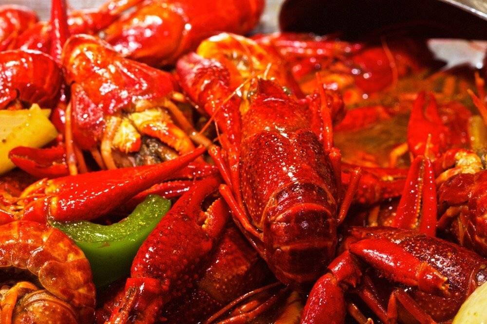 Buffet City | restaurant | 3877 Holland Road, Virginia Beach, VA 23452, USA | 7574981688 OR +1 757-498-1688