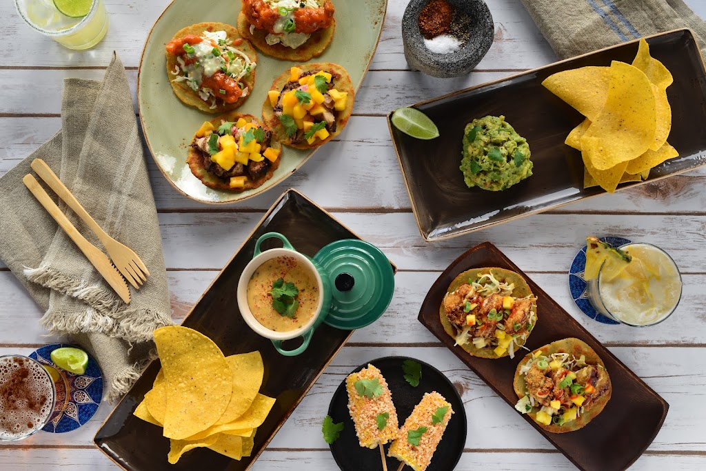 AVO TACO | restaurant | 212-97 26th Ave, Queens, NY 11360, USA | 9295661879 OR +1 929-566-1879