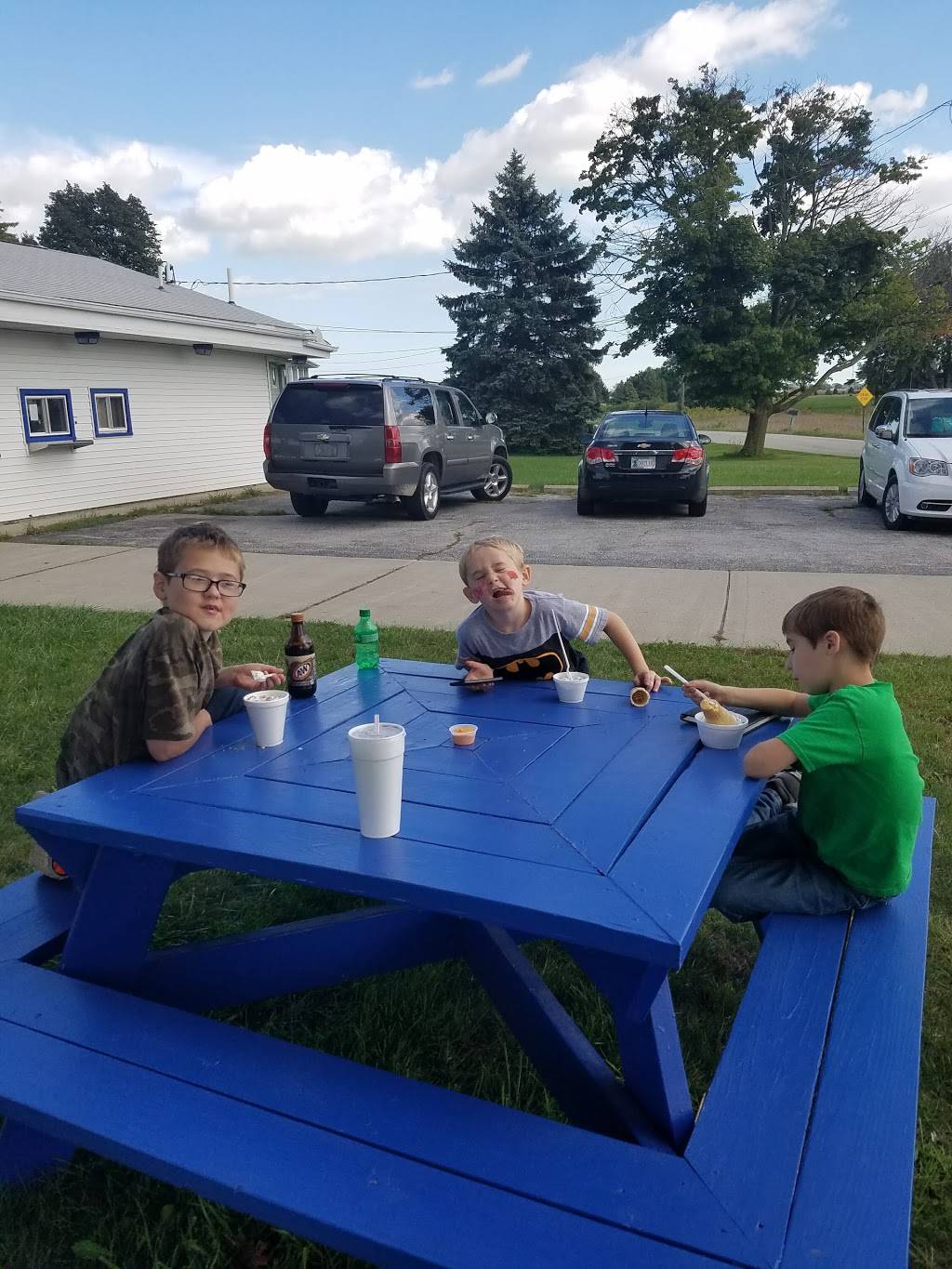 Roys Dixie Delight | restaurant | 10916 S Dixie Hwy, Erie, MI 48133, USA | 7343177697 OR +1 734-317-7697