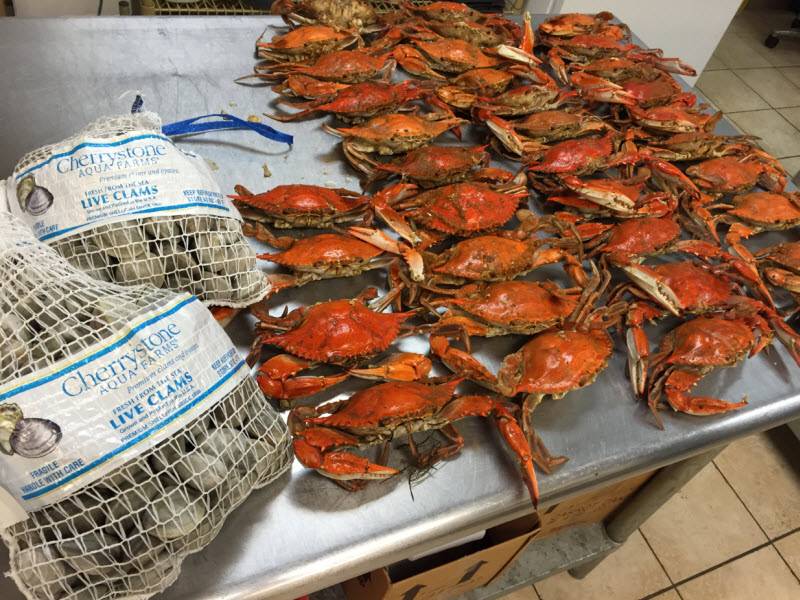 Captn Chuckys Crab Cake Co, Newtown Square | restaurant | 5149 West Chester Pike, Newtown Square, PA 19073, USA | 6103557525 OR +1 610-355-7525