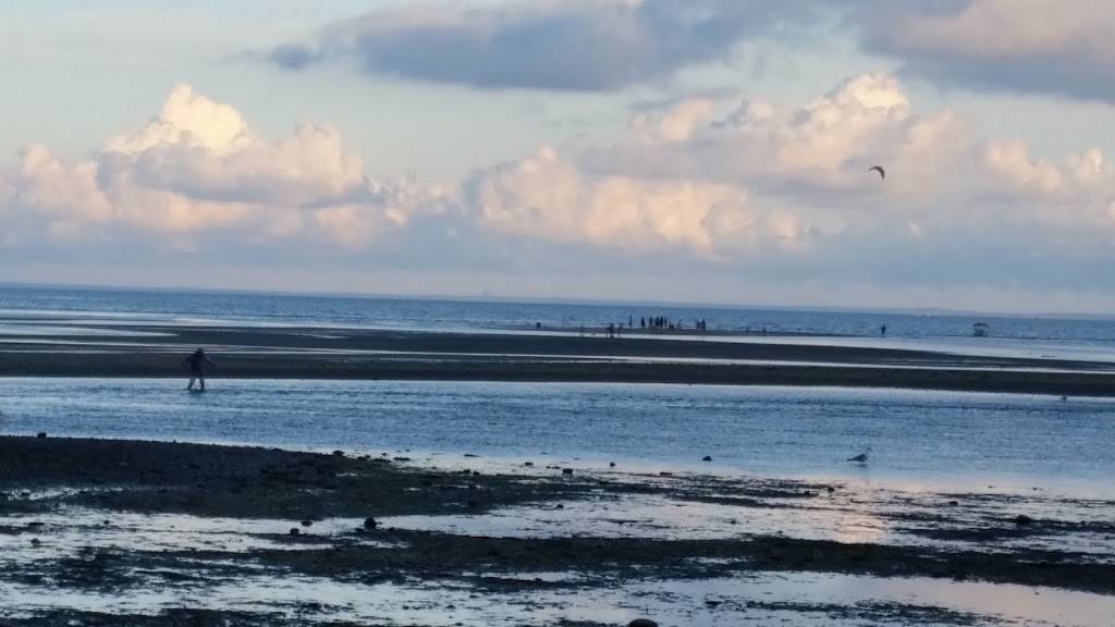 Elviras Market | restaurant | 222 Hillspoint Rd, Westport, CT 06880, USA | 2033418582 OR +1 203-341-8582