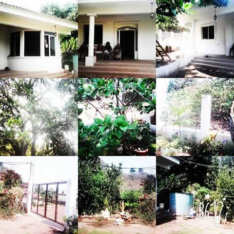 Taino Taste | restaurant | 1106, 302 E 170th St, Bronx, NY 10456, USA | 3474311724 OR +1 347-431-1724