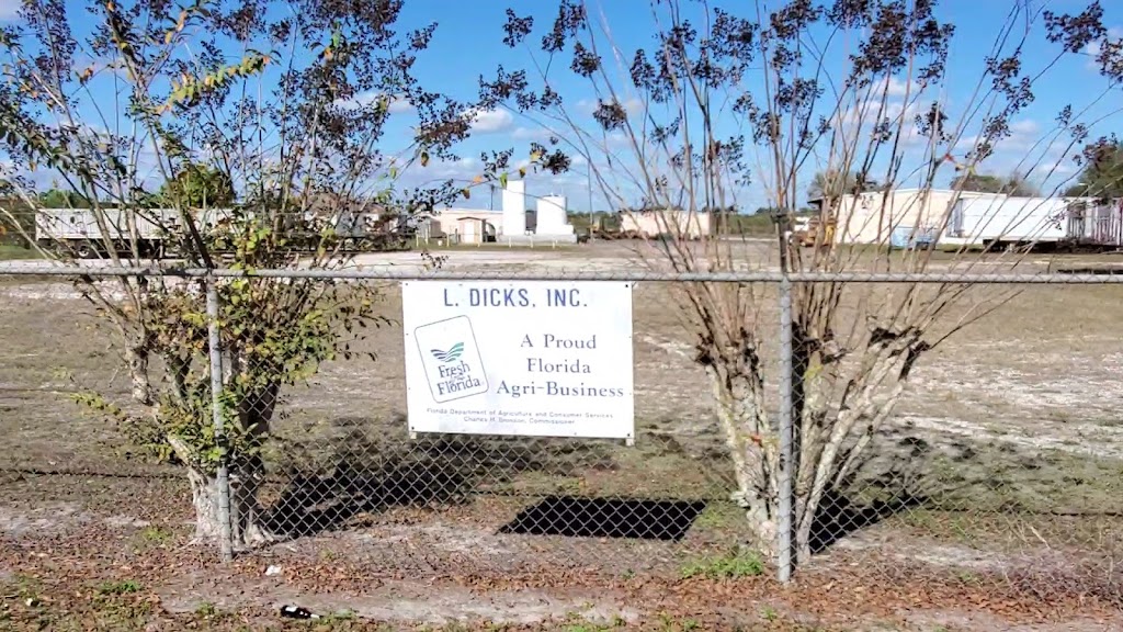 L Dicks Inc | restaurant | 300 Frederick Ave, Dundee, FL 33838, USA | 8634391141 OR +1 863-439-1141
