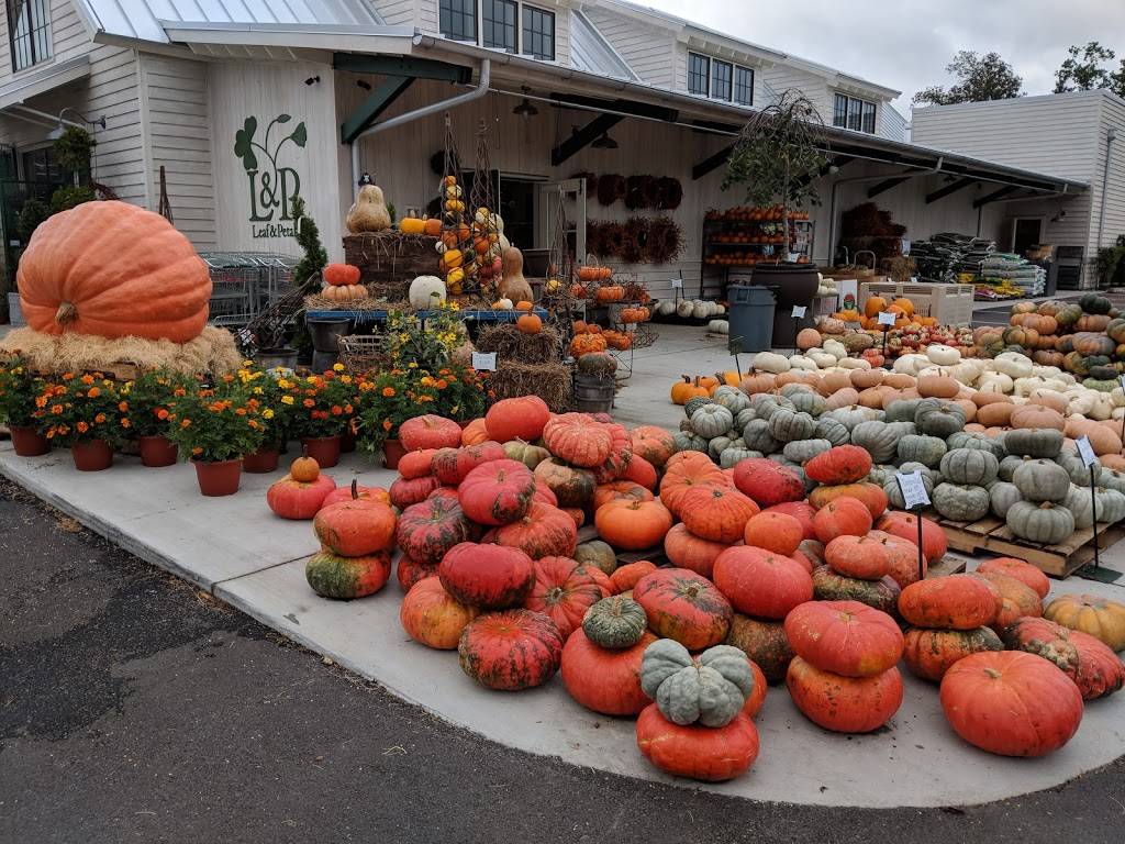 Crestline Bagel Company | restaurant | 5230, 4117 Crosshaven Dr, Vestavia Hills, AL 35243, USA | 2054074583 OR +1 205-407-4583